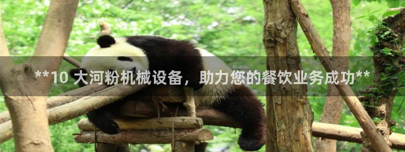 杏盛平台注册登录：**10 大河粉机械设备，助力您的餐饮业务成功**