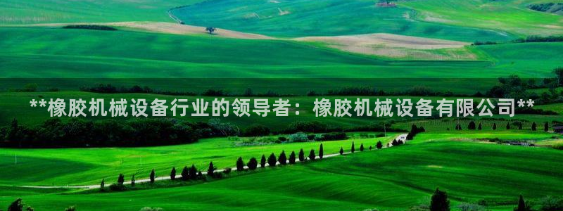 杏盛平台官网注册：**橡胶机械设备行业的领导者：橡胶机械设备有限公司**