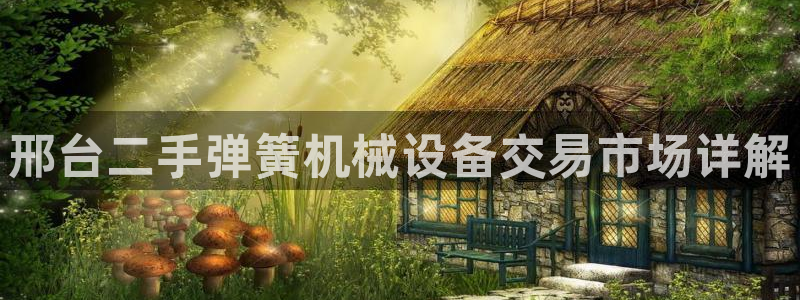 杏盛平台：邢台二手弹簧机械设备交易市场详解