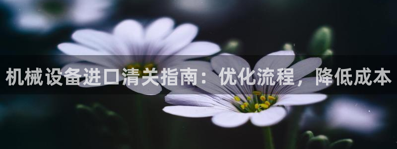 杏盛平台上级：机械设备进口清关指南：优化流程，降低成本