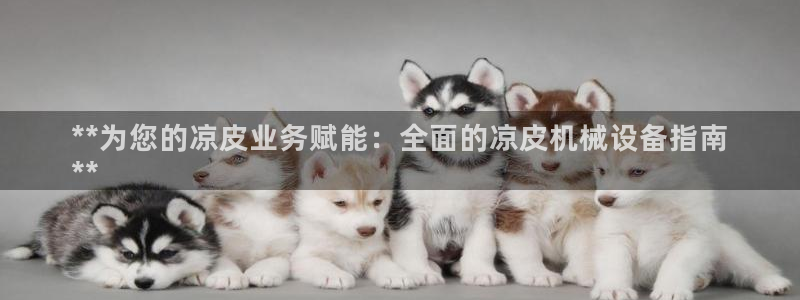 杏盛app下载：**为您的凉皮业务赋能：全面的凉皮机械设备指南
**