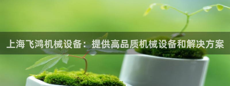 杏盛乐岳35994誓：上海飞鸿机械设备：提供高品质机械设备和解决方案