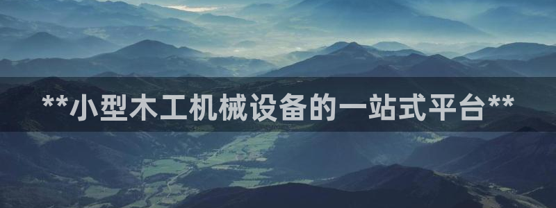 杏盛平台代理：**小型木工机械设备的一站式平台**