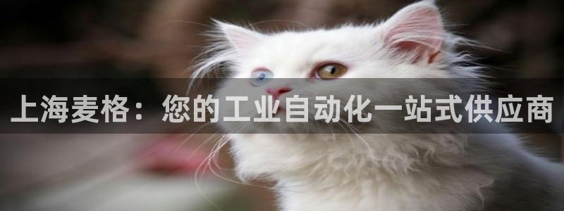 杏盛乐岳35994誓：上海麦格：您的工业自动化一站式供应商