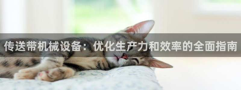 杏盛平台：传送带机械设备：优化生产力和效率的全面指南