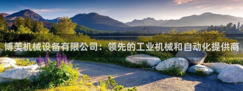 杏盛平台登陆地址：博美机械设备有限公司：领先的工业机械和自动化提供商