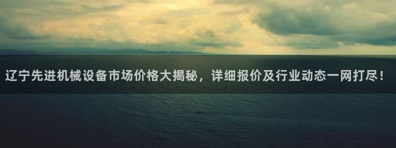 杏盛平台主管：辽宁先进机械设备市场价格大揭秘，详细报价及行业动态一网打尽！