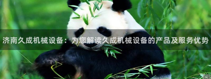杏盛开户地址：济南久成机械设备：为您解读久成机械设备的产品及服务优势