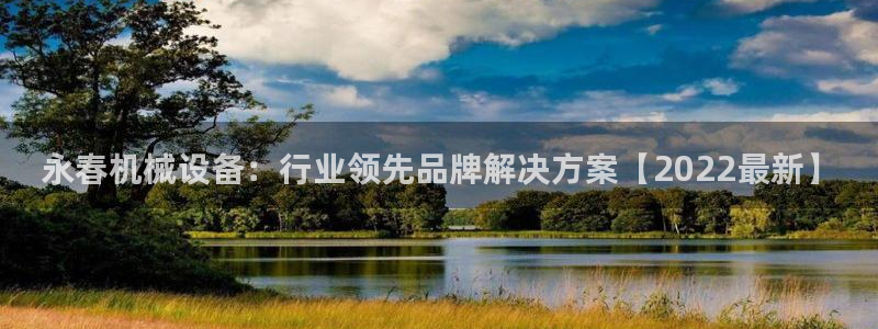 杏盛官方平台：永春机械设备：行业领先品牌解决方案【2022最新】
