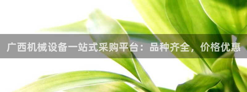 杏盛平台注册登录：广西机械设备一站式采购