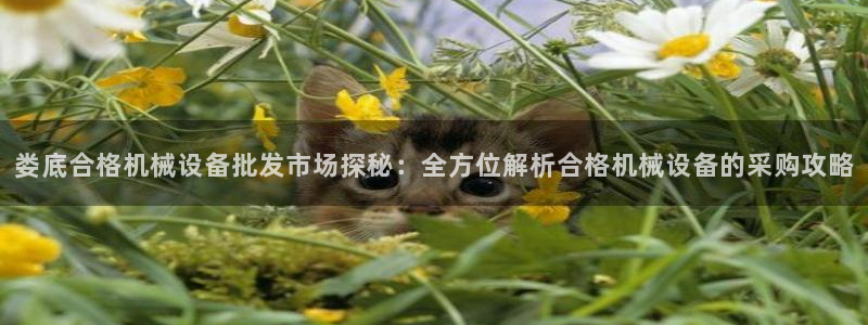 杏盛官网登录：娄底合格机械设备批发市场探秘：全方位解析合格机械设备的采购攻略