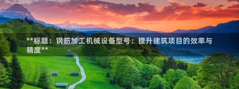杏盛平台登录：**标题：钢筋加工机械设备型号：提升建筑项目的效率与
精度**