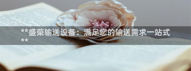 杏盛平台官网注册：**盛荣输送设备：满足您的输送需求一站式
**