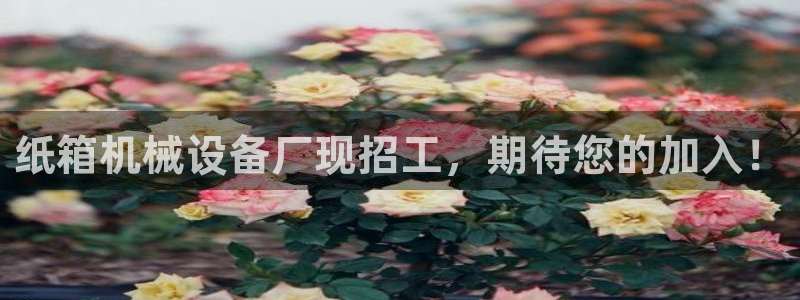杏盛平台上级：纸箱机械设备厂现招工，期待您的加入！