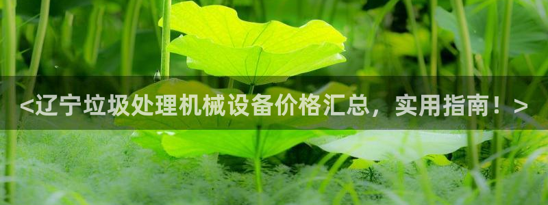 杏盛app下载：<辽宁垃圾处理机械设备价格汇总，实用指南！>