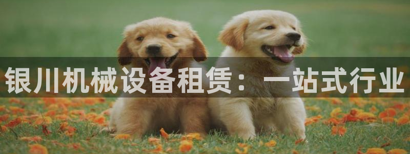 杏盛平台代理注册：银川机械设备租赁：一站式行业