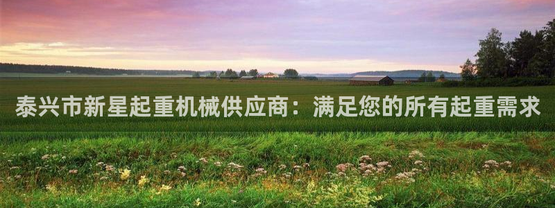 杏盛开户地址：泰兴市新星起重机械供应商：满足您的所有起重需求