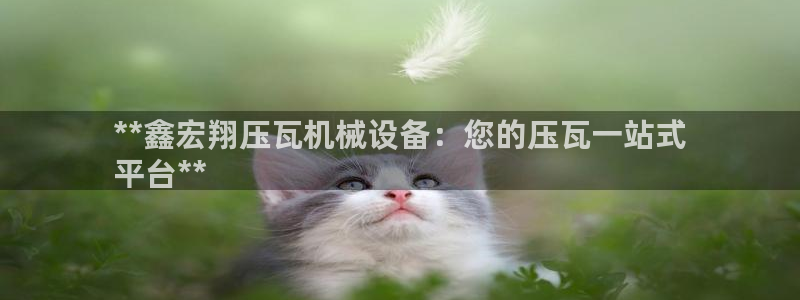 杏盛平台登陆：**鑫宏翔压瓦机械设备：您的压瓦一站式
平台**