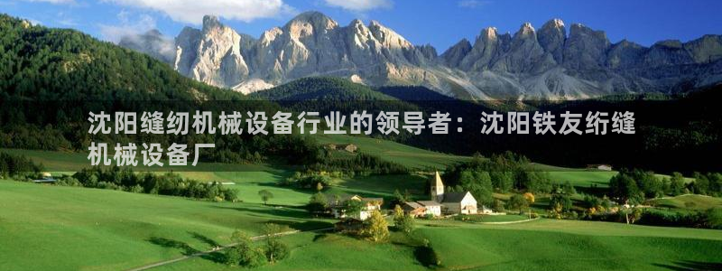 杏盛代理：沈阳缝纫机械设备行业的领导者：沈阳铁友绗缝
机械设备厂