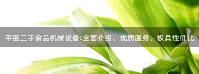 杏盛官网：平度二手食品机械设备:全面介绍