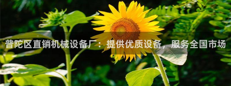 杏盛平台主管：普陀区直销机械设备厂：提供优质设备，服务全国市场