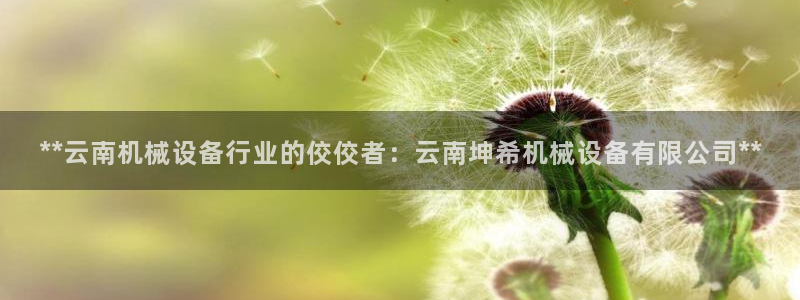 杏盛平台代理：**云南机械设备行业的佼佼者：云南坤希机械设备有限公司**