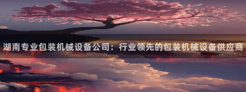 杏盛官方平台：湖南专业包装机械设备公司：行业领先的包装机械设备供应商
