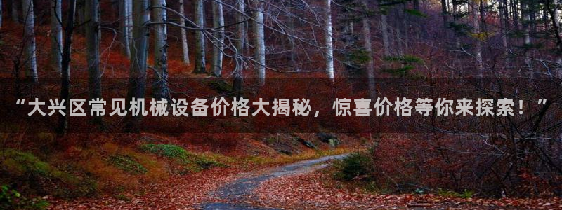 杏盛乐岳35994誓：“大兴区常见机械设备价格大揭秘，惊喜价格等你来探索！”