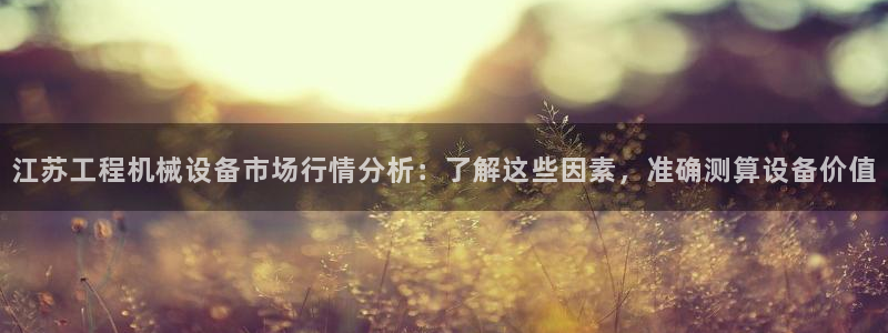 杏盛官方平台：江苏工程机械设备市场行情分析：了解这些因素，准确测算设备价值