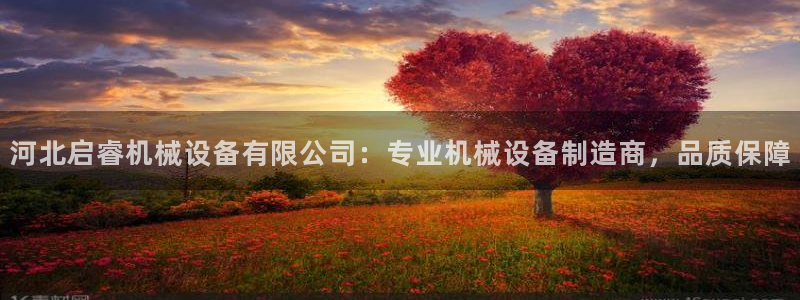 杏盛平台开户 贴吧：河北启睿机械设备有限公司：专业机械设备制造商，品质保障