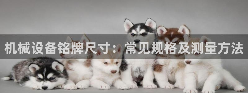 杏盛平台登陆地址：机械设备铭牌尺寸：常见规格及测量方法
