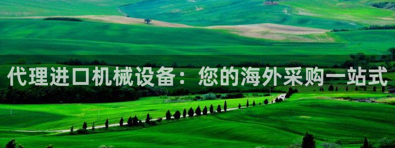 杏盛主管：代理进口机械设备：您的海外采购