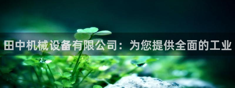杏盛平台登录地址：田中机械设备有限公司：