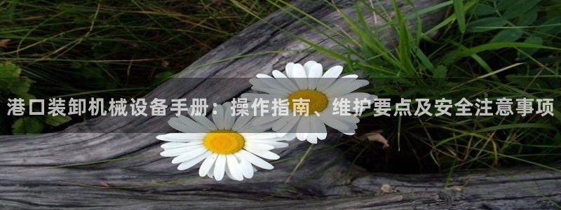 杏盛平台上级：港口装卸机械设备手册：操作