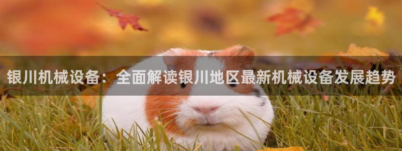 杏盛官网：银川机械设备：全面解读银川地区