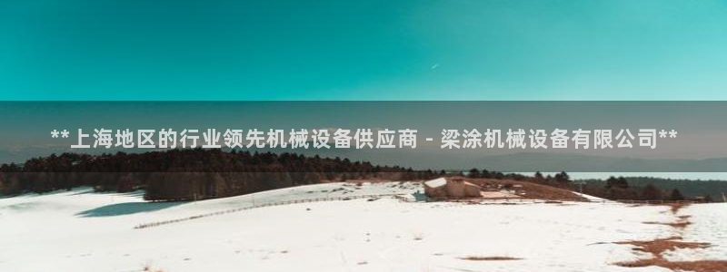 杏盛平台主管：**上海地区的行业领先机械
