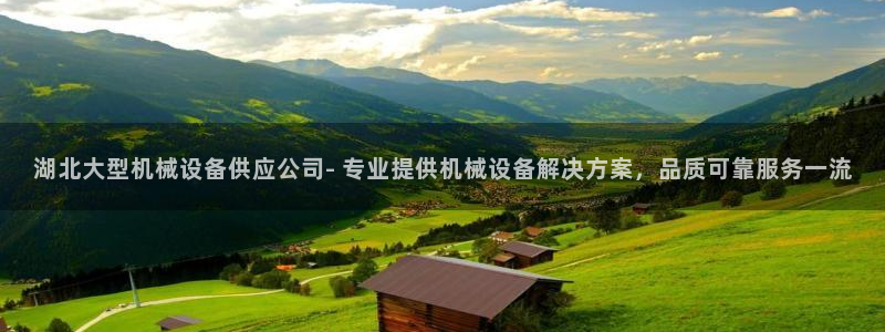 杏盛官网：湖北大型机械设备供应公司- 专