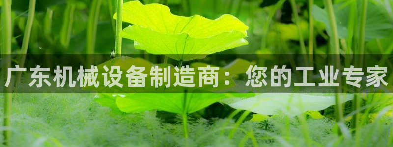 杏盛平台：广东机械设备制造商：您的工业专