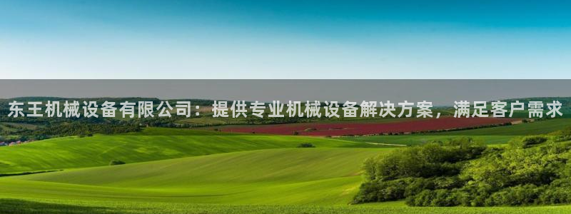 杏盛乐岳35994誓：东王机械设备有限公