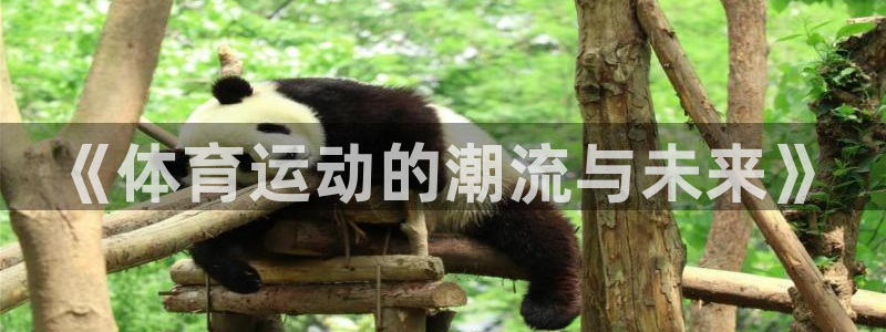 betway西汉姆联官网