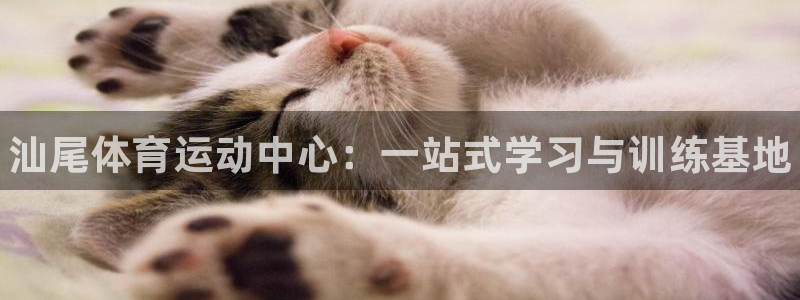 betway西汉姆