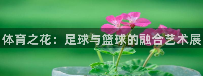 betway西汉姆