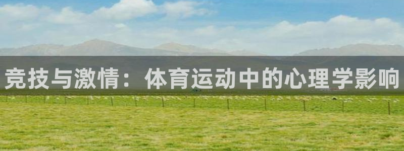 必威betway西汉姆联