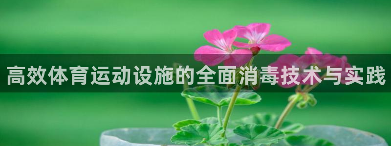 betway西汉姆官网
