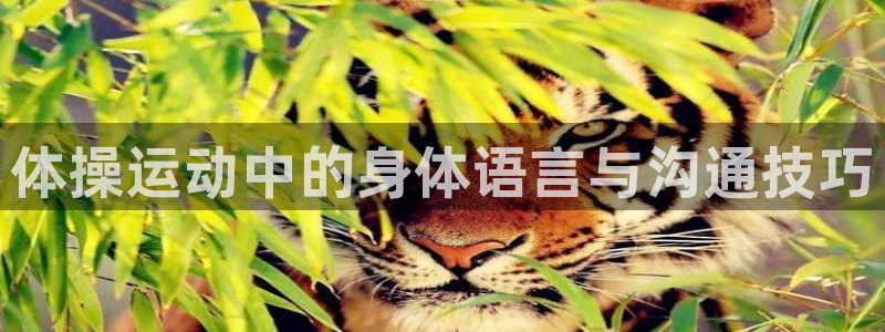 betway西汉姆联官网