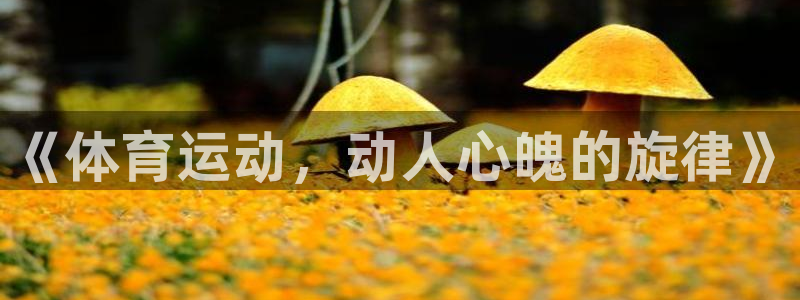 betway西汉姆联官网