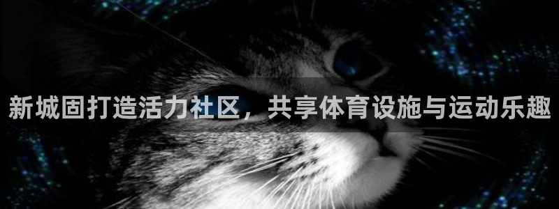 必威betway西汉姆联