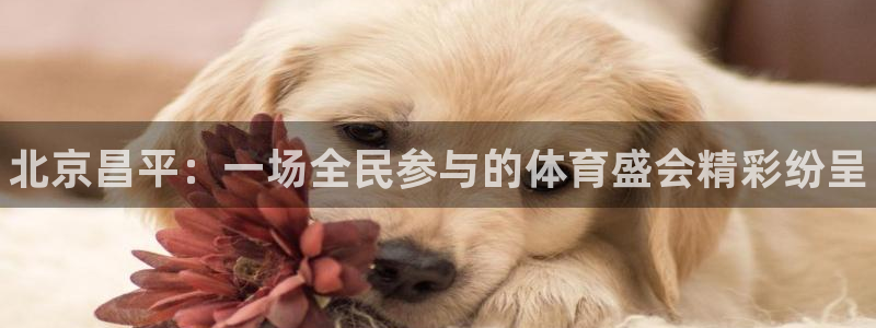 必威betway西汉姆联
