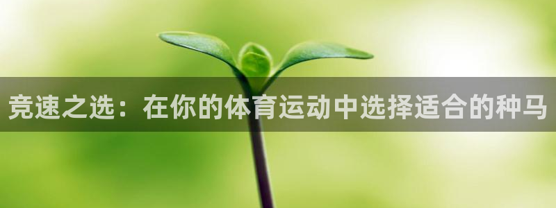 必威betway西汉姆联