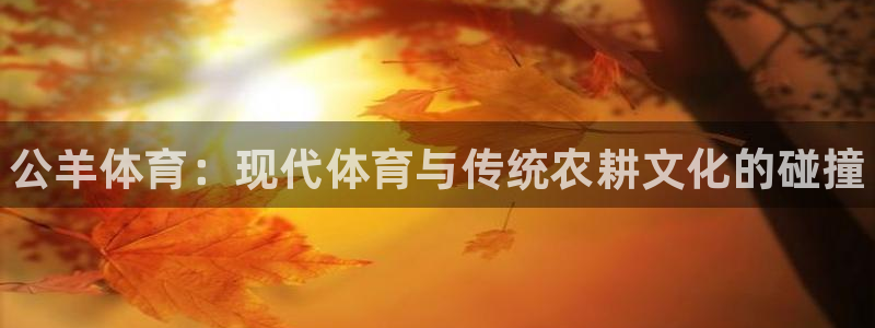 betway西汉姆联官网